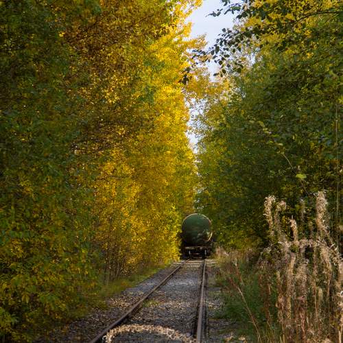 Photo #6547340