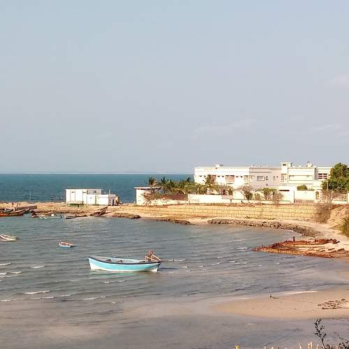 Photo #6547386
