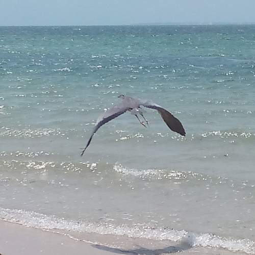 Photo #6547389