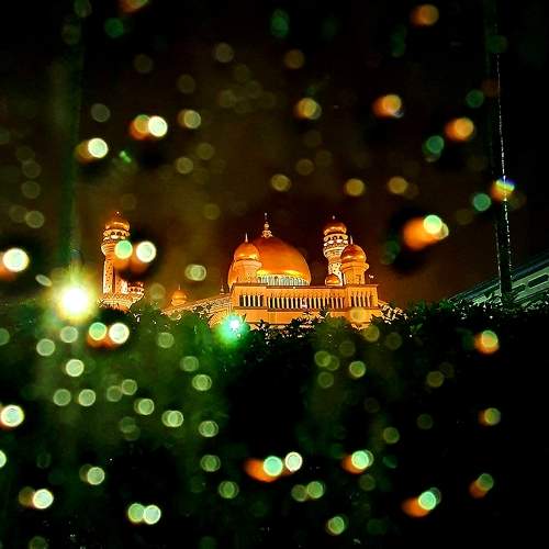 Golden Domes