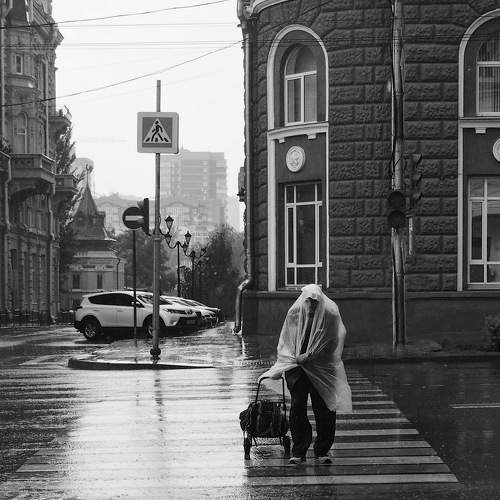 Photo #6547673