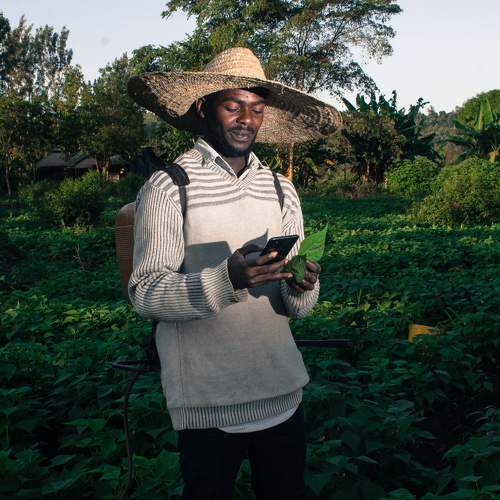 Youth and Agriculture