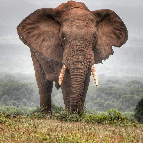 Photo #6548087