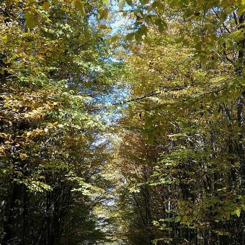 Photo #6548346