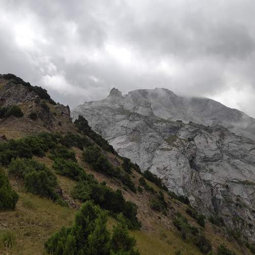 Photo #6548954
