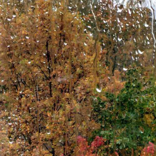 Photo #6549064