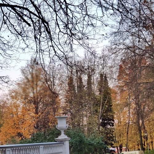 Photo #6549072