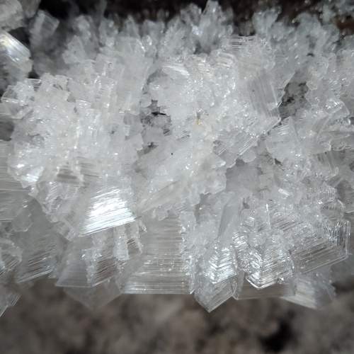 Photo #6549154