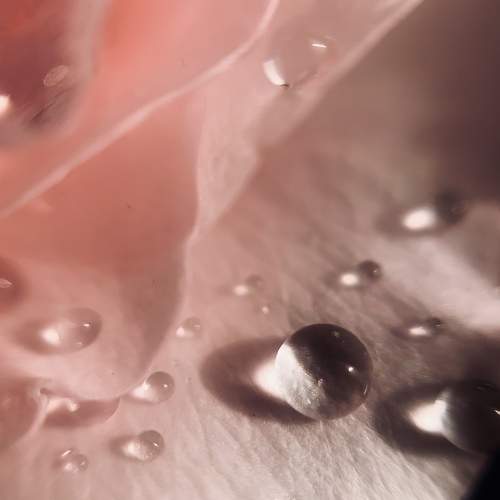 Photo #6549212
