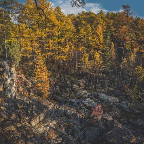 Photo #6549215