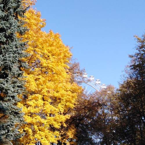 Photo #6549276