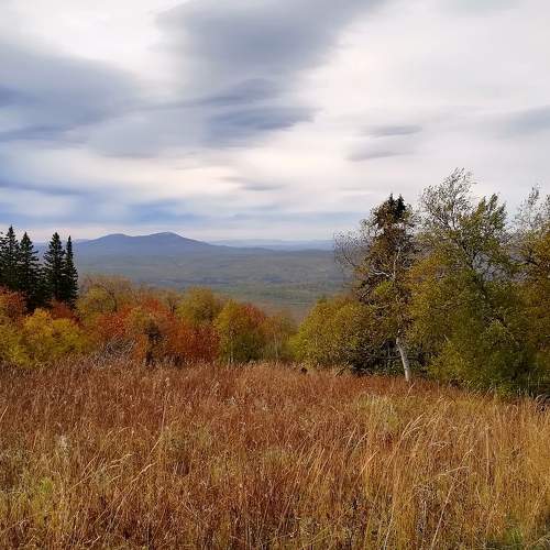 Photo #6549763