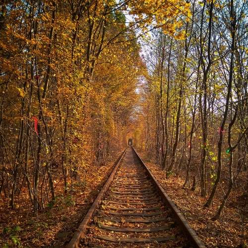 Photo #6549769