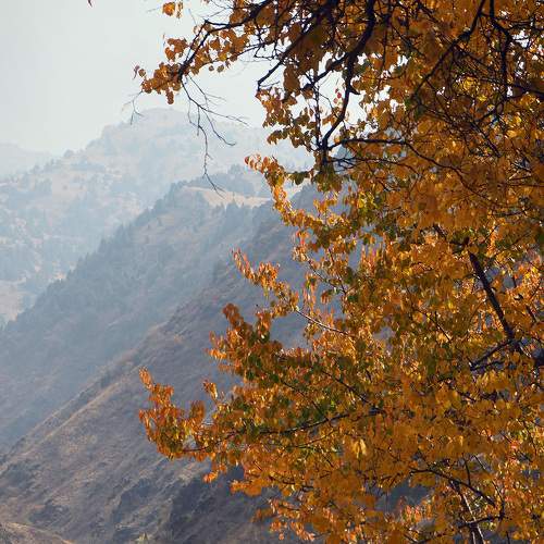 Photo #6549812
