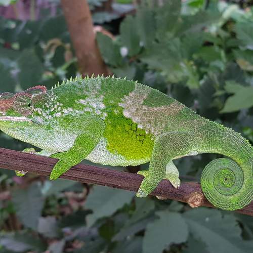 Photo #6550015