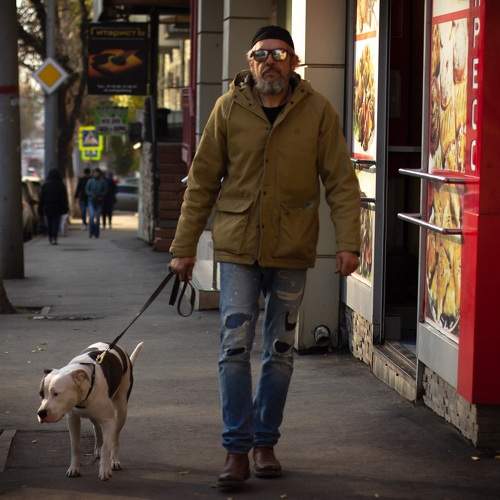 Photo #6550248