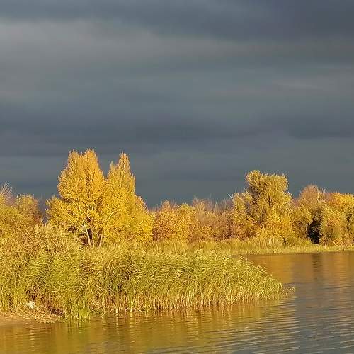 Photo #6550281