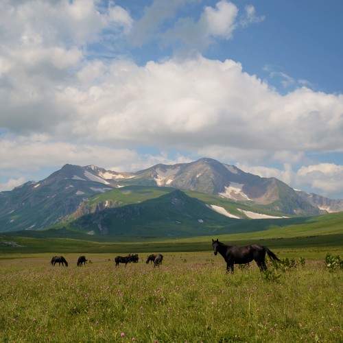 Photo #6550287