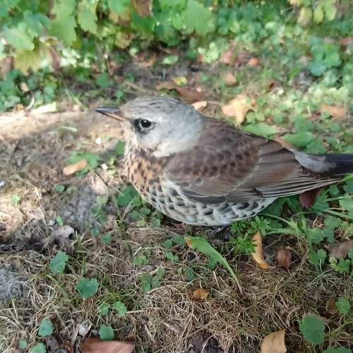 Photo #6550288