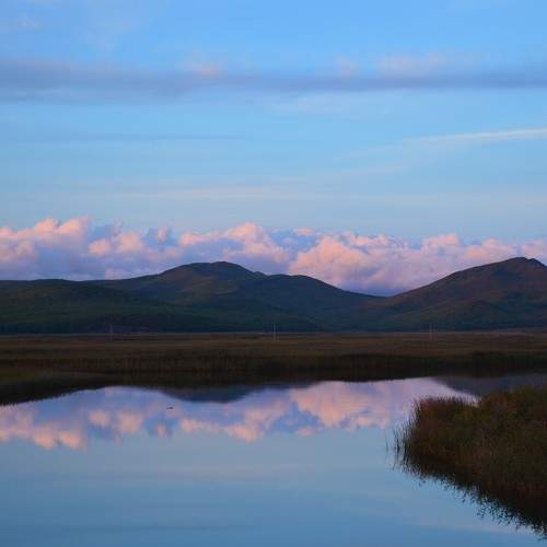 Photo #6550296