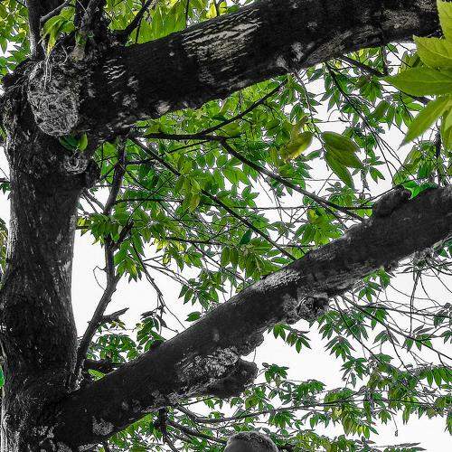 Photo #6550326