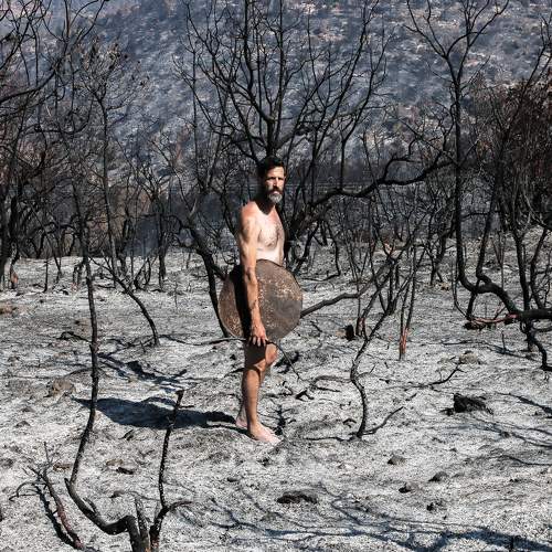 Photo #6550417