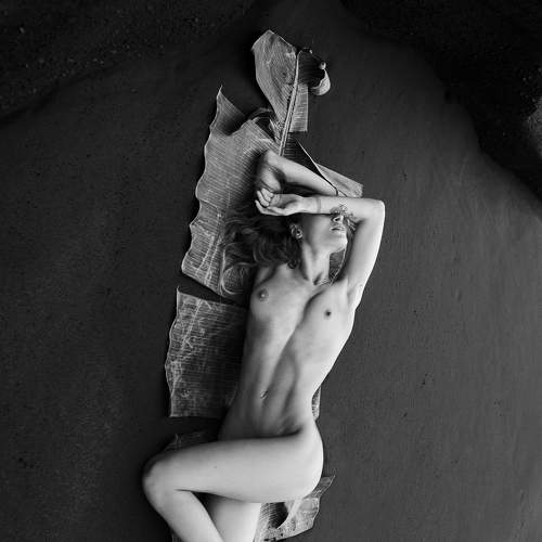 Photo #6550796
