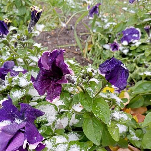 Photo #6551129