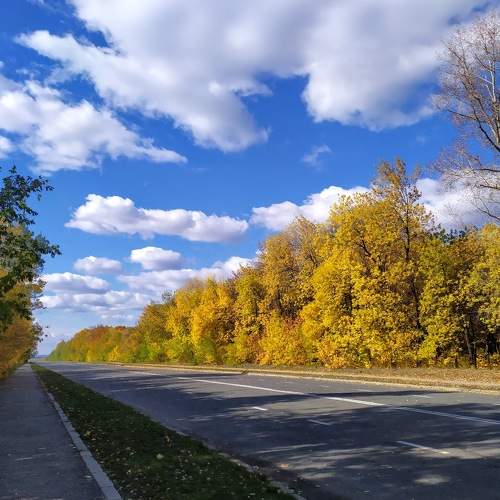 Photo #6551711