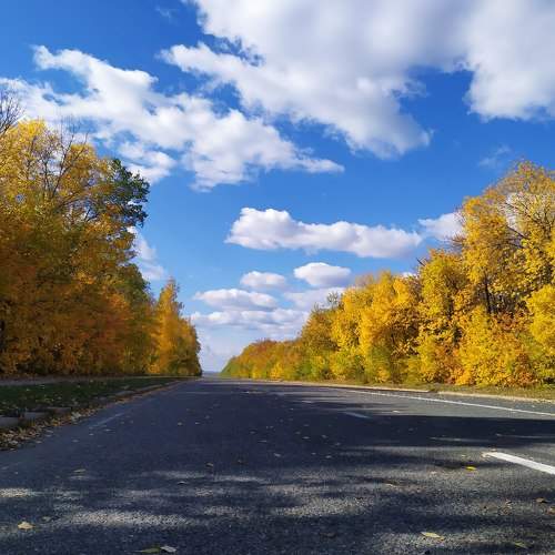 Photo #6551712