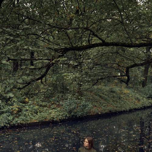 Photo #6551776