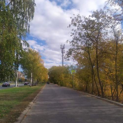 Photo #6551792
