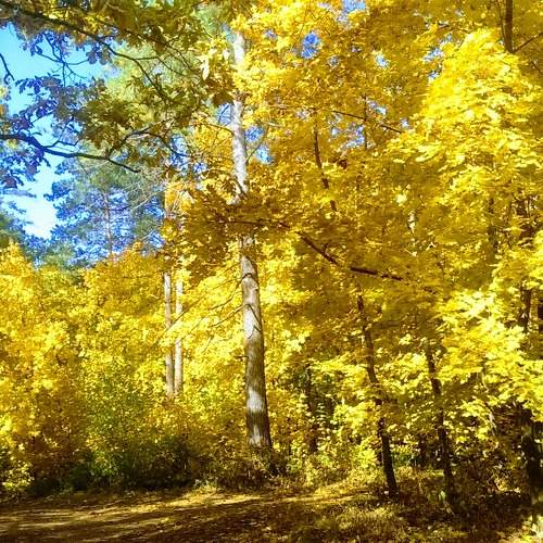 Photo #6551793