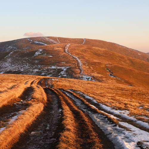 Photo #6551923