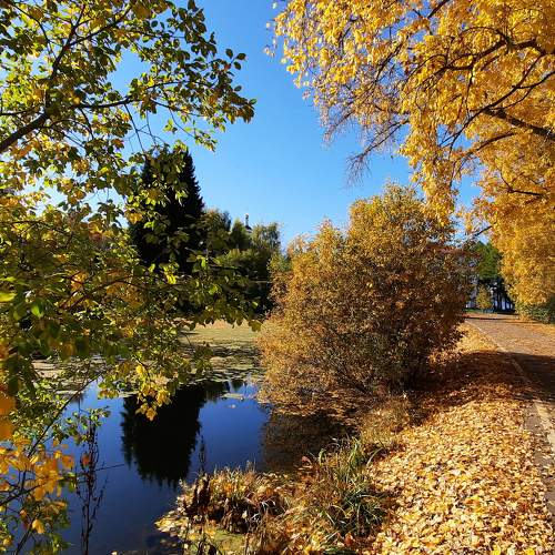 Photo #6551955