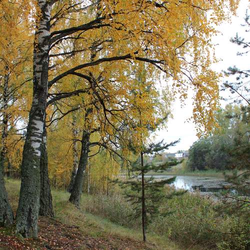 Photo #6551973