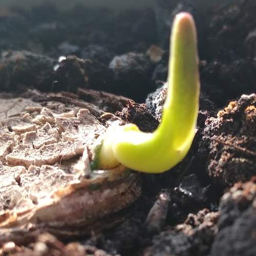 Photo #6552253