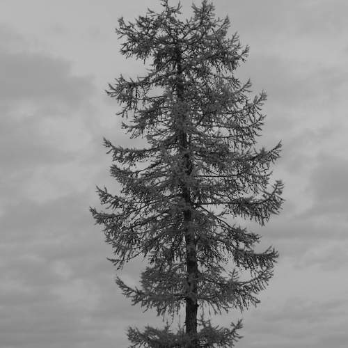 Фотография #6552372