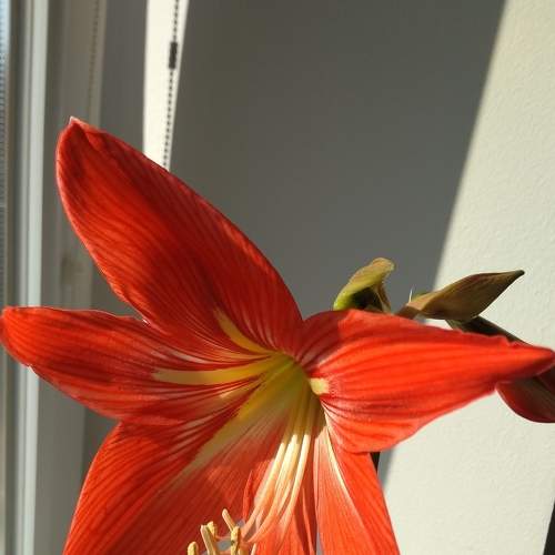 Photo #6552535