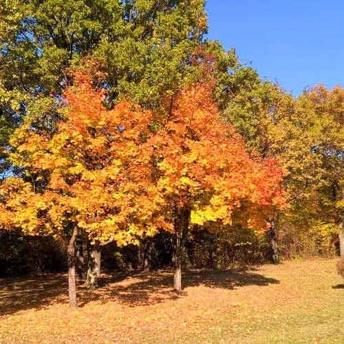 Photo #6552690