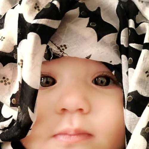Photo #6552751