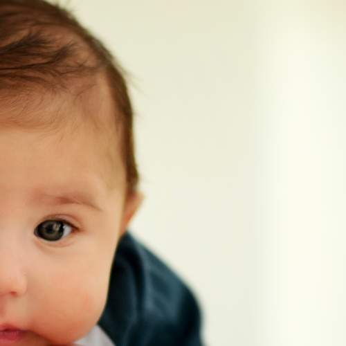 Photo #6552754