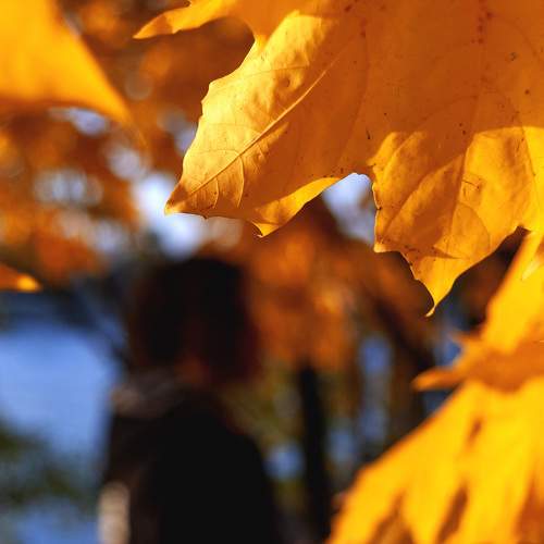 Photo #6552829