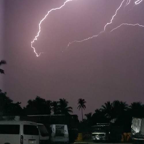 Photo #6552952