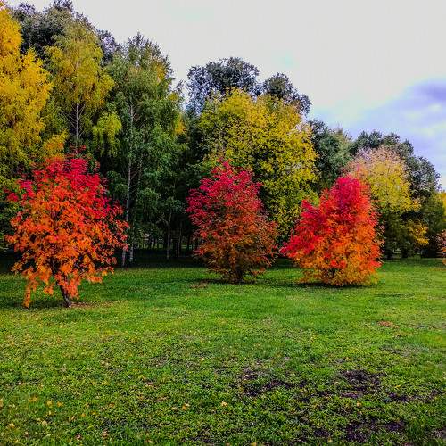 Photo #6553051