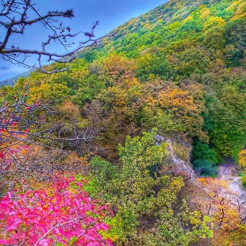 Photo #6553274