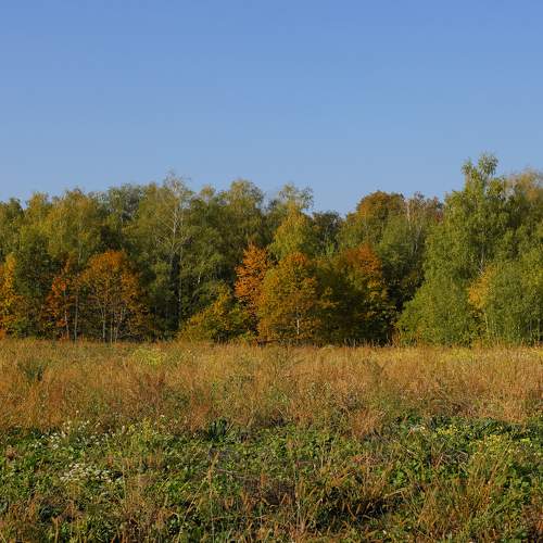 Photo #6553318