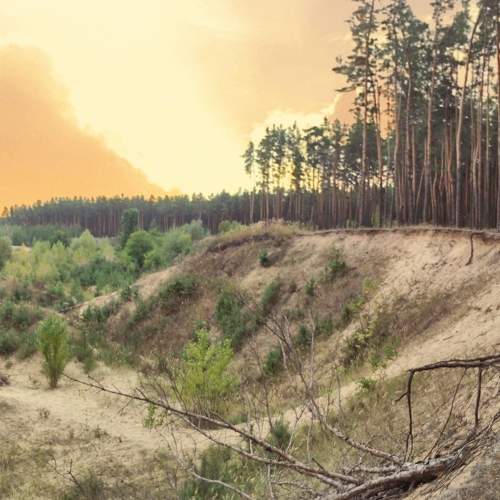 Photo #6553319