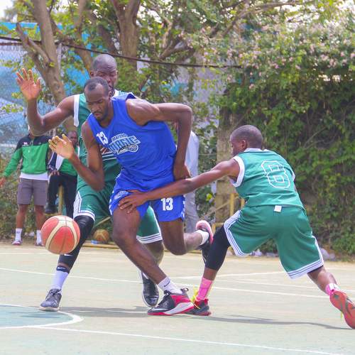Photo #6553485