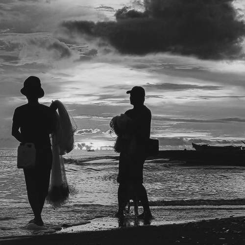 Photo #6553587
